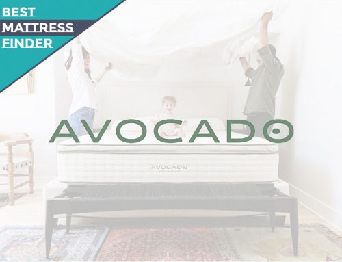 Avocado Green Mattress Brand Review
